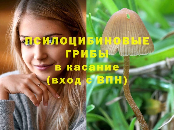 ALPHA PVP Алексеевка