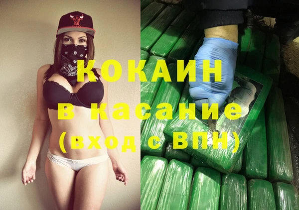 шишки Алексин