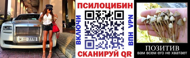 что такое МЕГА Псилоцибиновые грибы Psilocybine cubensis Североуральск